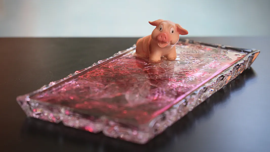 The Happy Pig — © Francesco Nencini Photographer FNP09854RETOUCHED .JPG