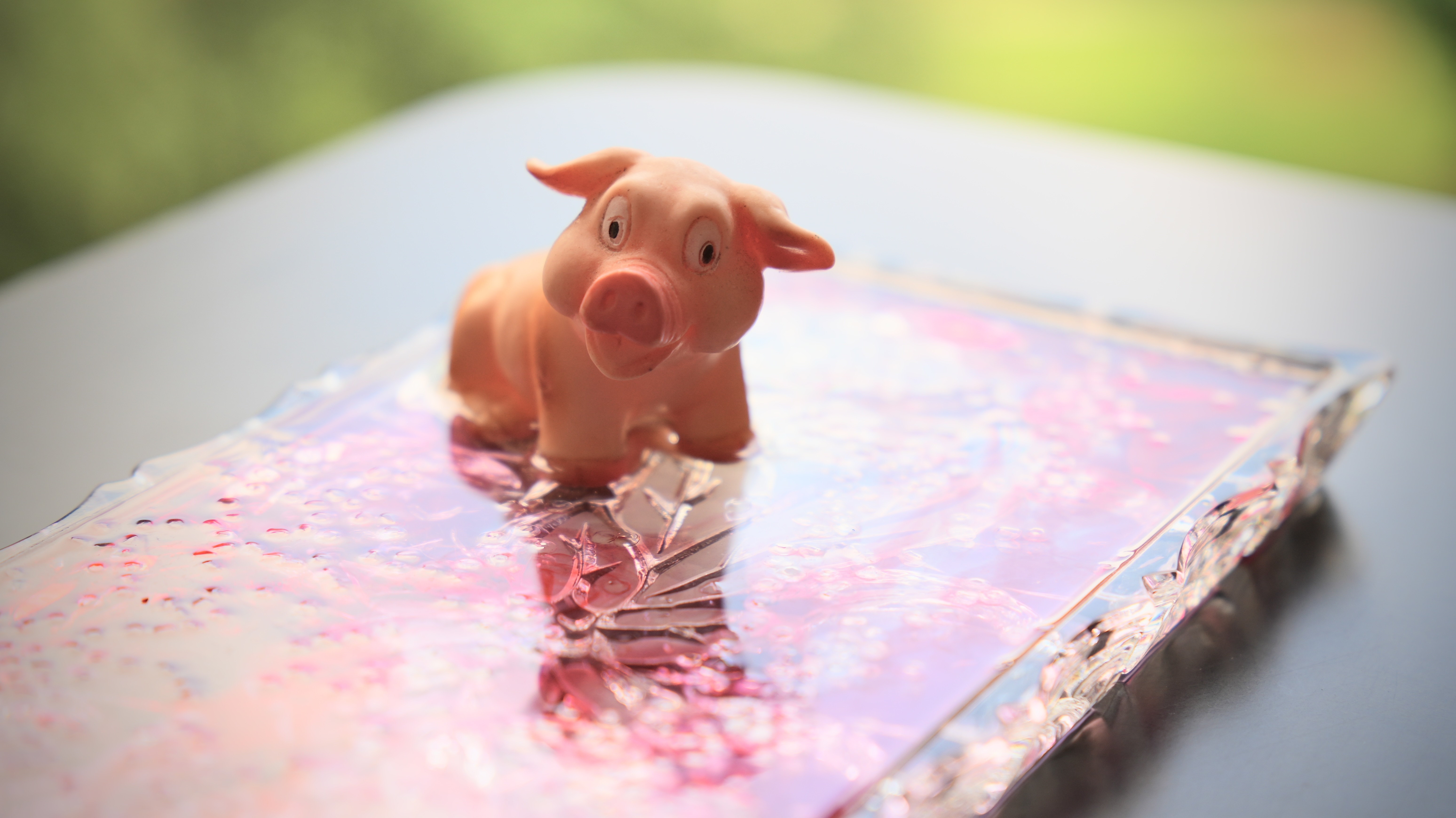The Happy Pig — © Francesco Nencini Photographer FNP09830RETOUCHED .JPG