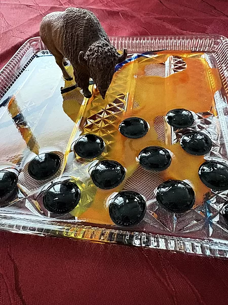 The Buffalo — IMG_0255.JPEG