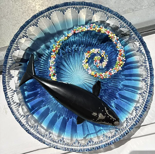 The Whale — IMG_1060.JPEG