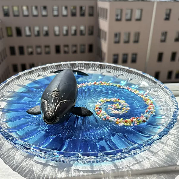 The Whale — IMG_1057.JPEG