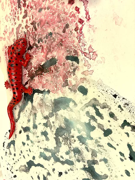 The Salamander