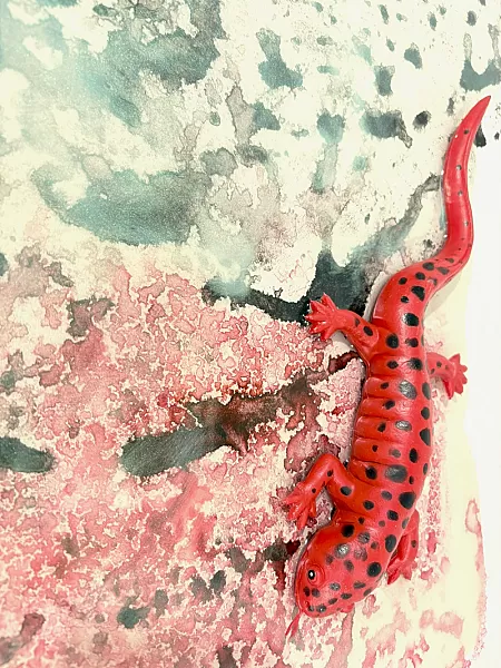 The Salamander — IMG_1224.JPEG