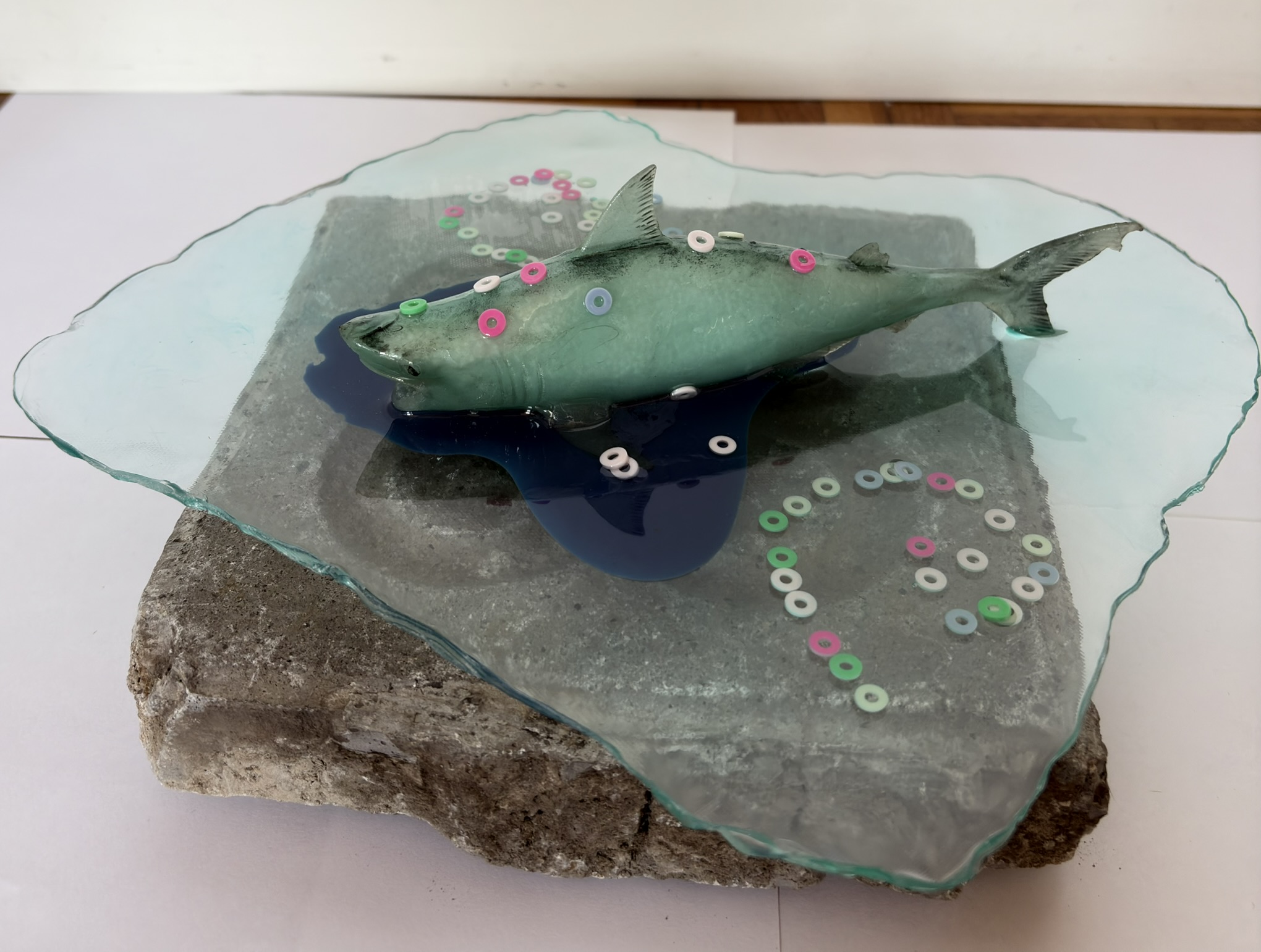 The Blue Shark — IMG_1784.JPG