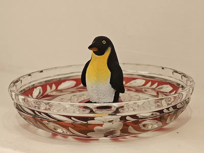 The Pinguin — 1000118800.jpg