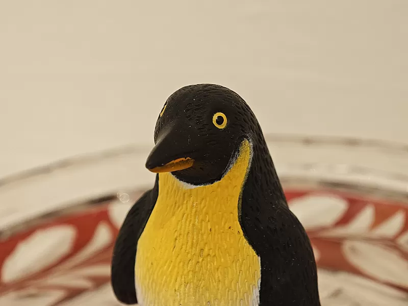 The Pinguin — IMG_20261009_122103.jpg