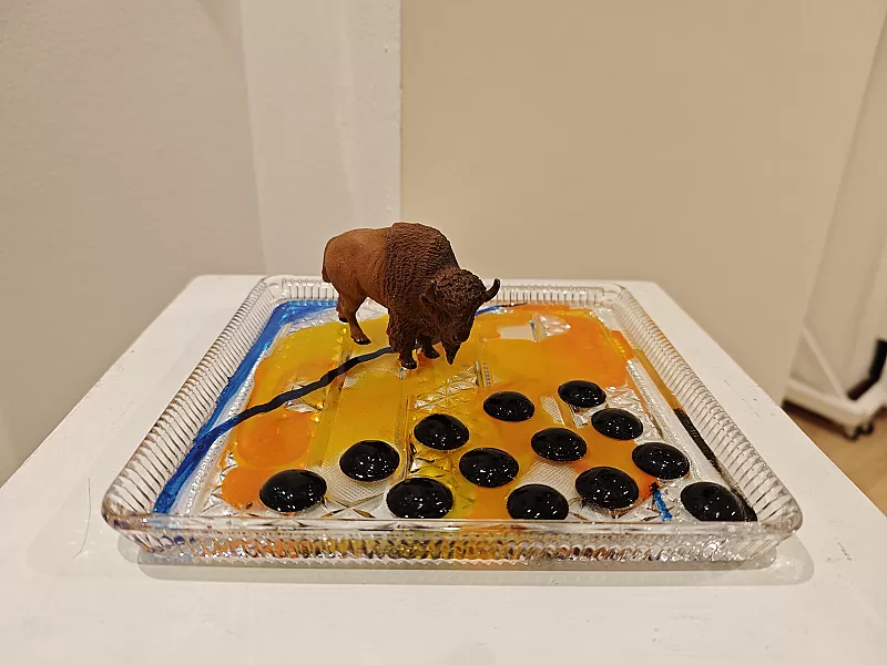 The Bison — IMG_20261009_120624.jpg