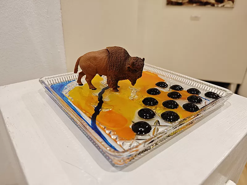 The Bison — IMG_20261009_120631.jpg